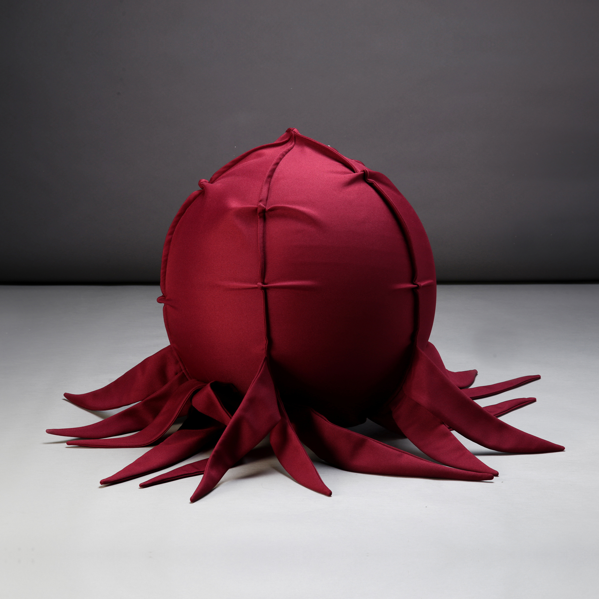 morus_01 Morus